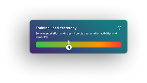 Training Load.png