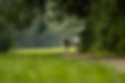 LOW_RES_mats_triathlon_2025_08_04 (c) _jan_lenfert 36.jpg