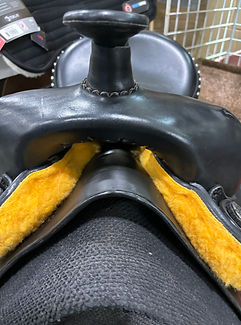 Saddle with Impression 3.jpg