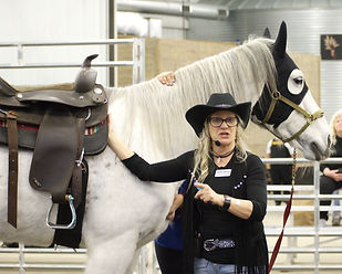 20250316 Anita Martin Innovative Equine (28) 8x10 final.jpg