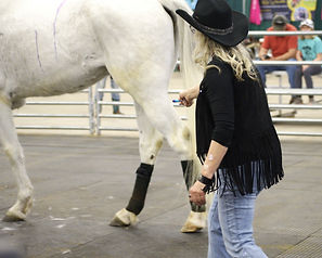 20250316 Anita Martin Innovative Equine (36) 8x10 final.jpg