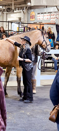 Equine Affaire 2025 mass pic clinic 1.jpg