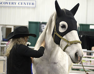 20250316 Anita Martin Innovative Equine (10) 8x10 final.jpg