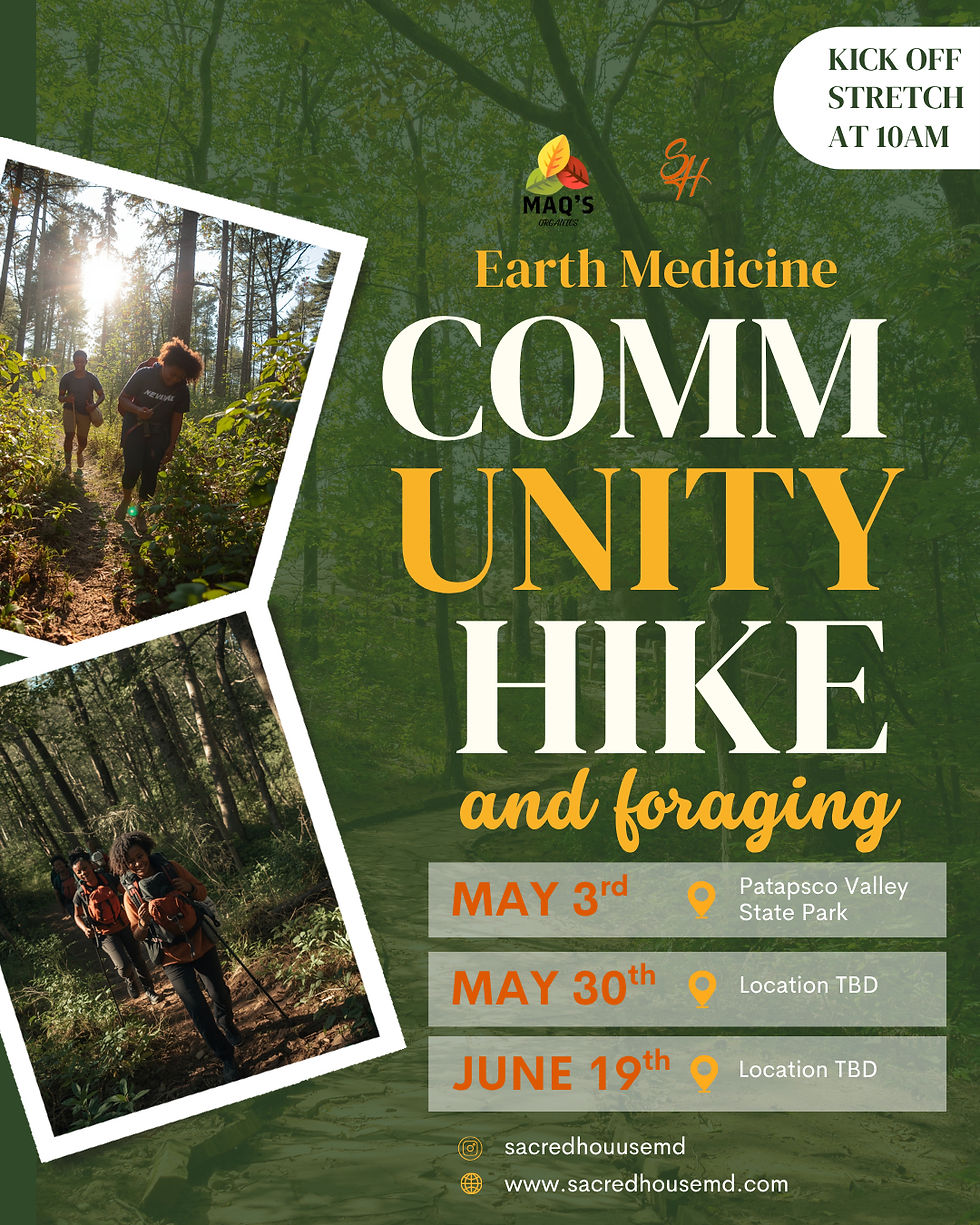Earth Medicine Hike & Foraging 
