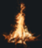 wildfire mitigation utilities vegetation management wildland fire asset protection