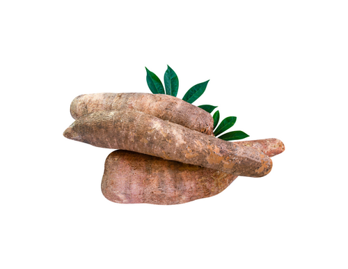 新鮮でヘルシーキャサッバ Mandioca Yuca 冷凍】マンジョッカ 新鮮でヘルシーキャサッバ Mandioca Yuca 冷凍】マンジョッカ
