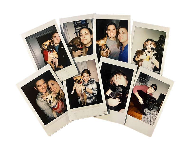 Polaroids of Lauren, Erin & Dogs