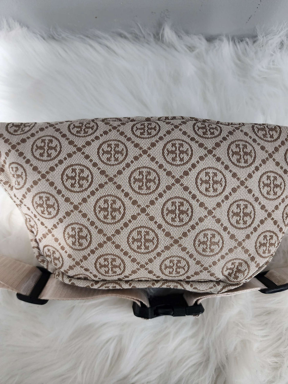 Thumbnail: TB Belt Bag