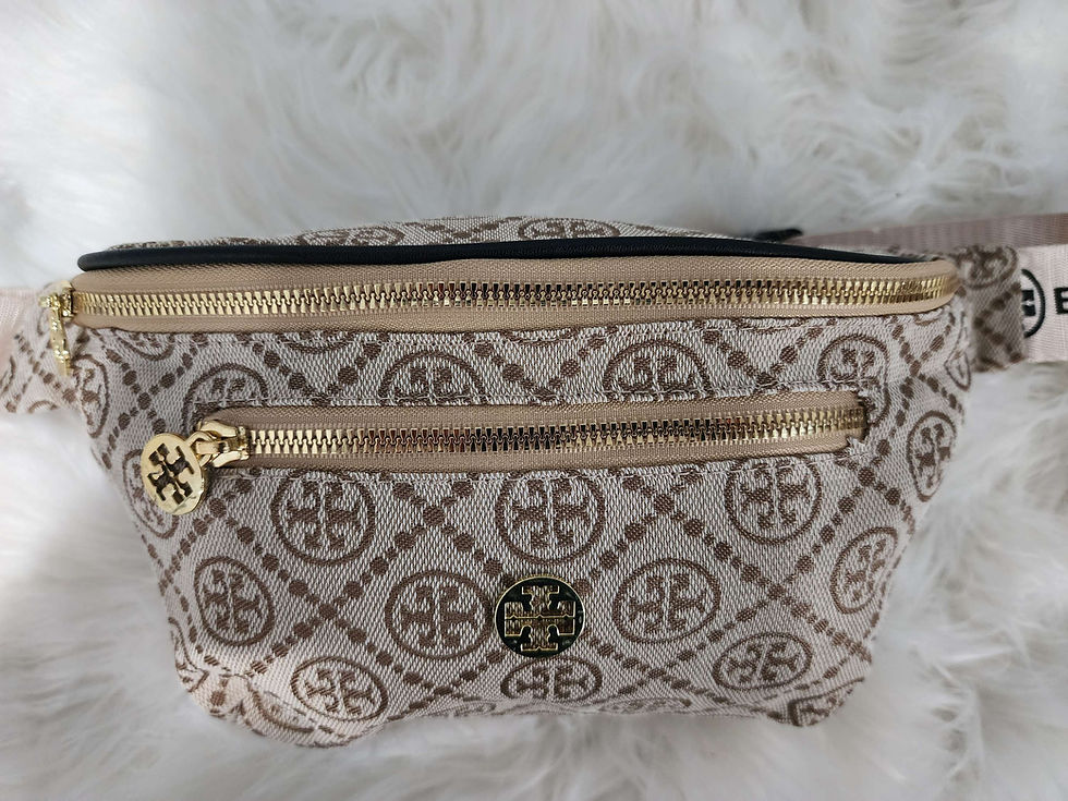 Thumbnail: TB Belt Bag