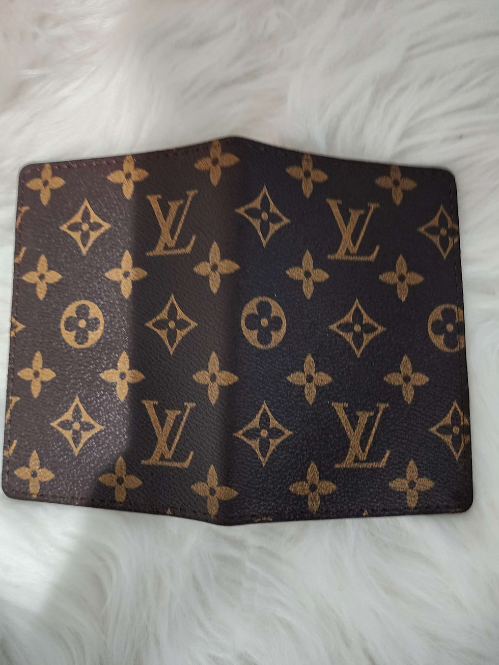 Thumbnail: LV Mono Passport Holder