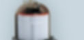 Pentair Clean & Clear Filter - Internal Filter Photo.jpg