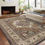 Thumbnail: Vintage Medallion Area Rug | Boho Living Room Rug | Oriental Style Carpet