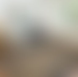 Exploring the Elegance of Traditional Turkish Kilim Carpets