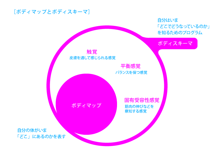 ボディマップとボディスキーマ_図