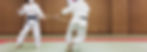 スプリット用杖直突き.jpg