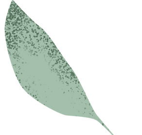 decorative green leaf