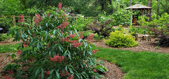 20190503_070906 (1).jpg