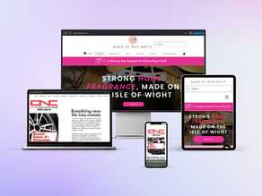 The World Wide Web: A Universe of Websites
