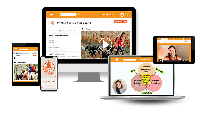 Learn how to be a pack leader