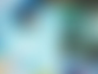 Greenpeace and Poko mood boards