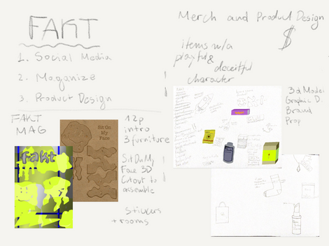 FAKT sketch of course of action