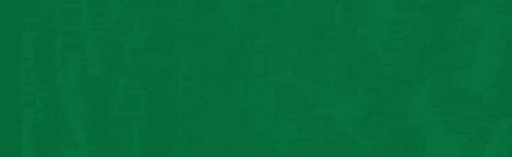 IMG_6806.PNG