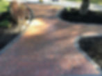 IMG_0541.jpeg