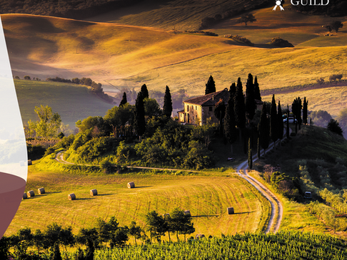Italian Wine Essential dcourse