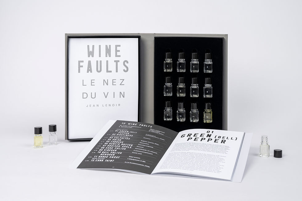 Le Nez du Vin Faults