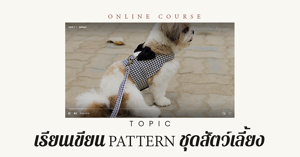 Preview | คอร์สเรียนเขียนแพทเทิร์นเสื้อผ้าสัตว์เลี้ยง แบบ Made to order