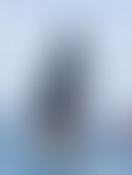 Tout ça pour ça…