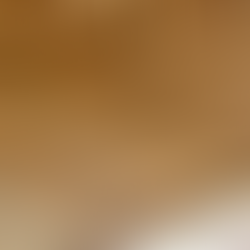 Covered patio with concrete deck finished in pavers