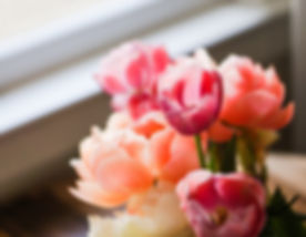 tulip.jpeg