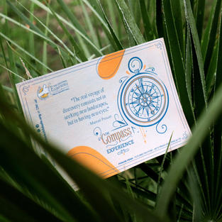 Carte postale illustrations The ChildSafe Experience - Faustine Merour Designer Graphique