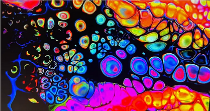 Screenshot 2025-10-12 at 12.57.48 PM.png