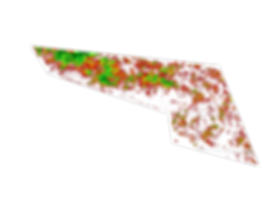 Pasi_Canopy_per_sqm_map.png