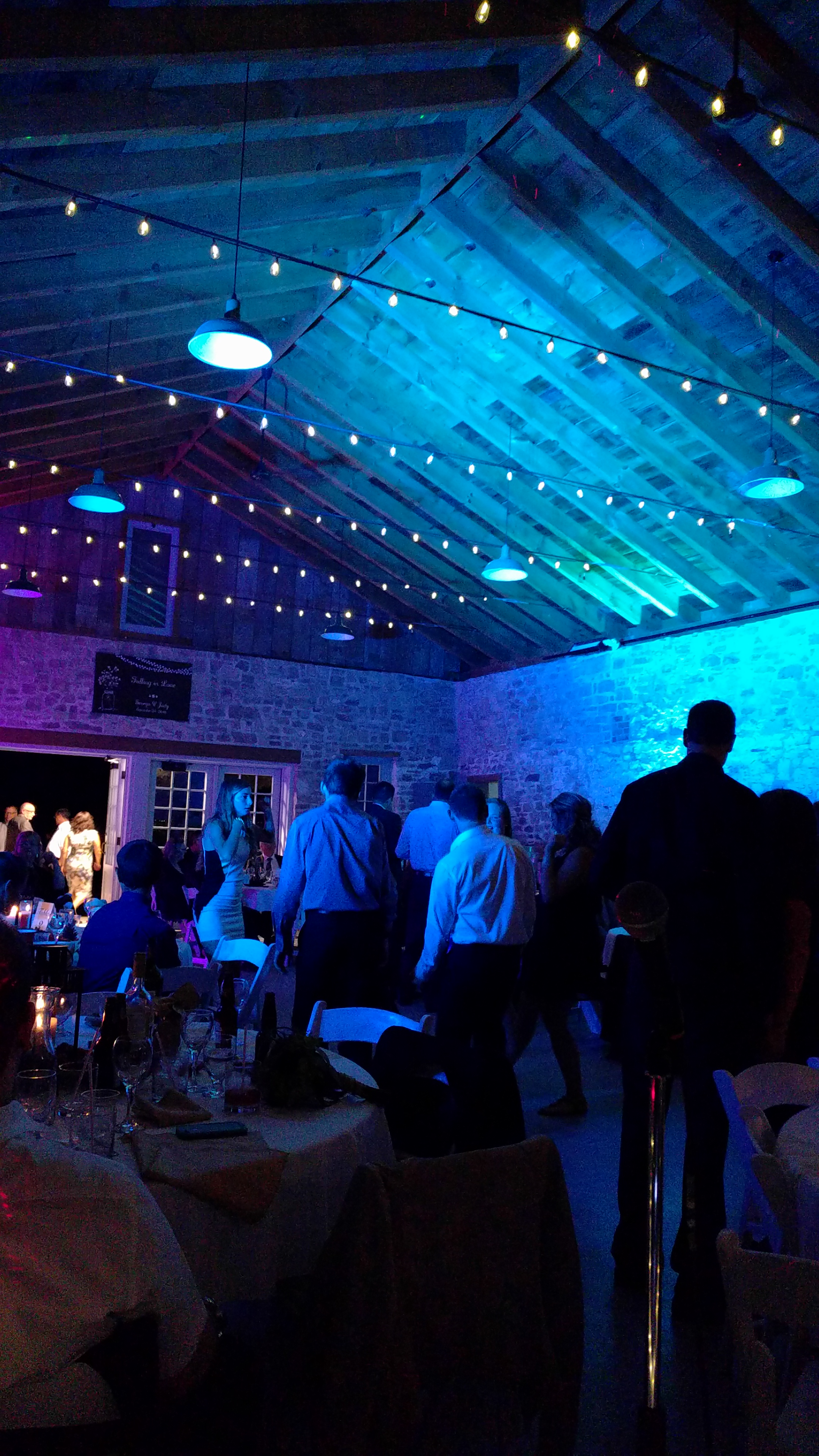 Zammit Wedding