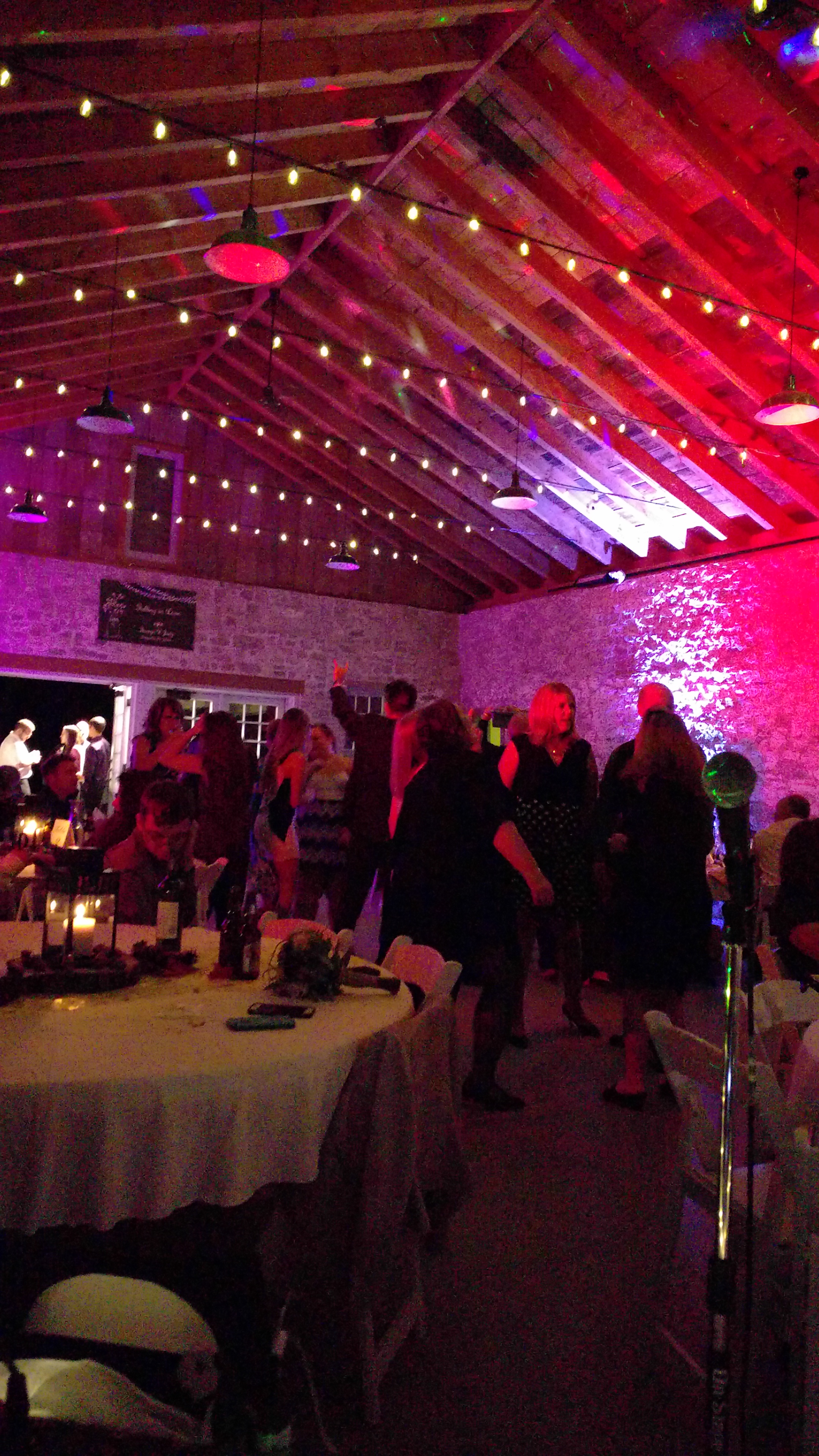 Zammit Wedding