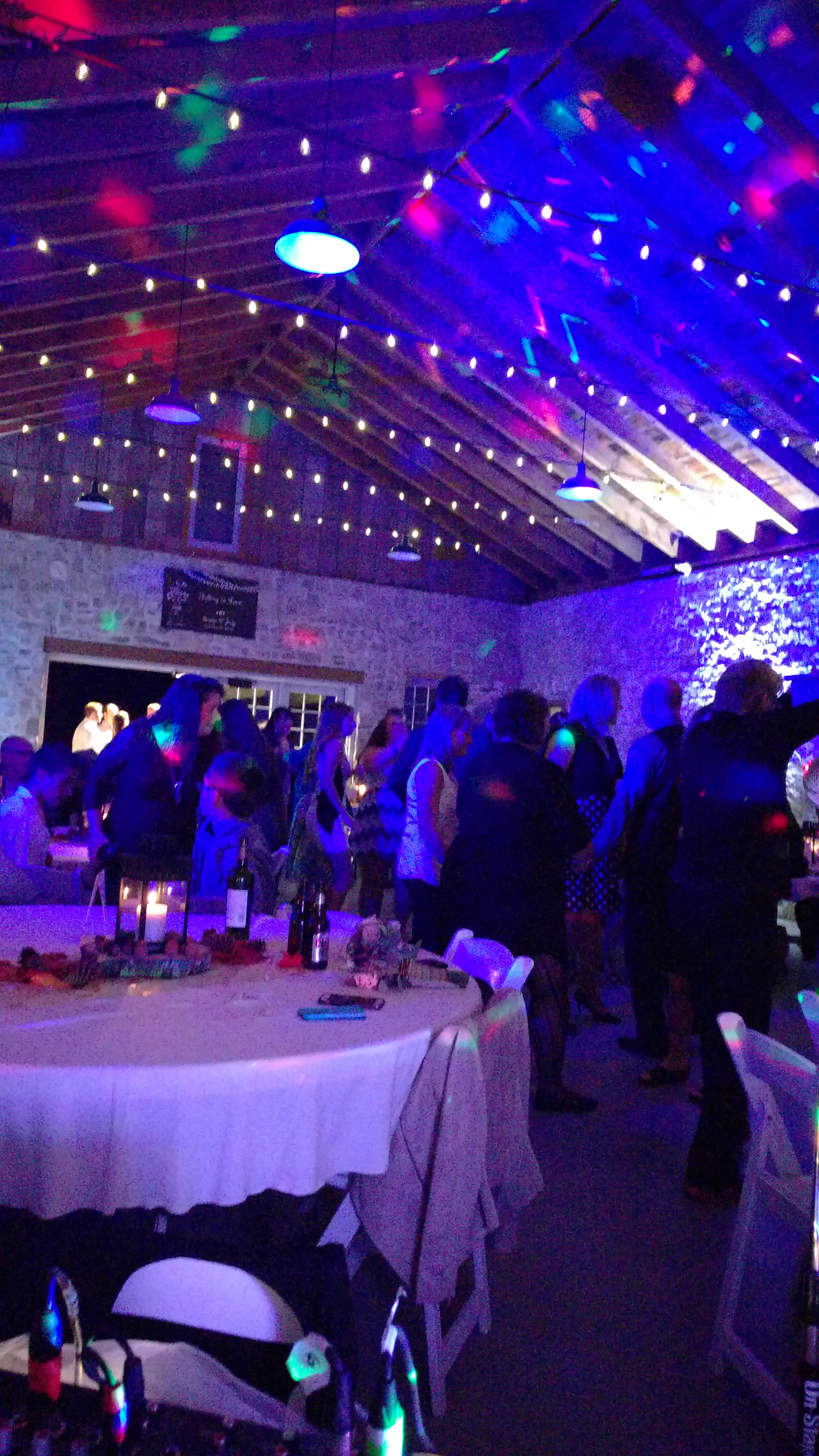 Zammit Wedding