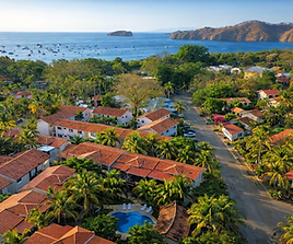 Trees overlooking the ocean in Costa Rica