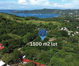 Trees overlooking the ocean in Costa Rica
