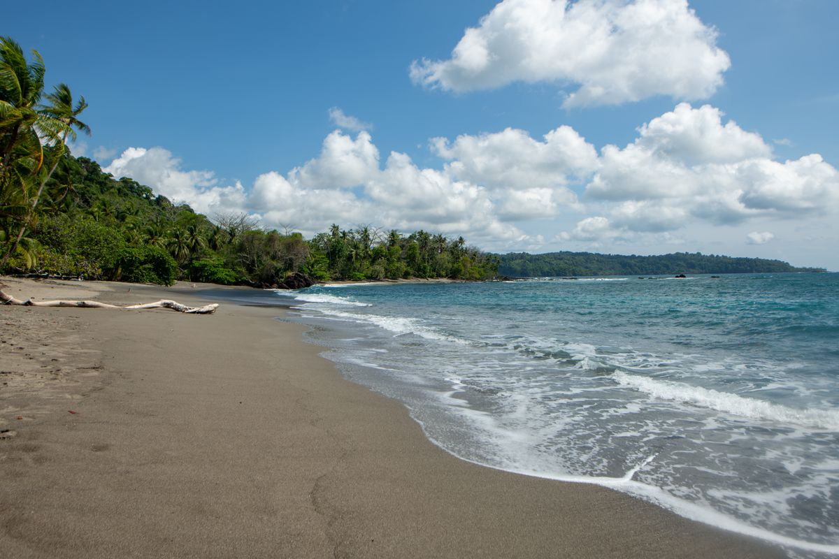Tropical Costa Rica beach with lush greenery and clear skies