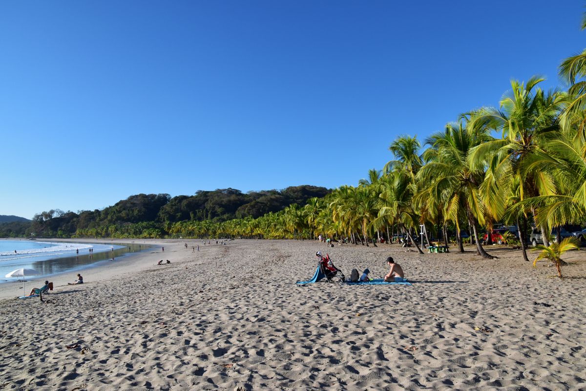 Tropical beach lined with palm trees under blue sky in Guanacaste, Costa Rica