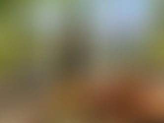 יקב יתיר - ענווה בצל העלווה 