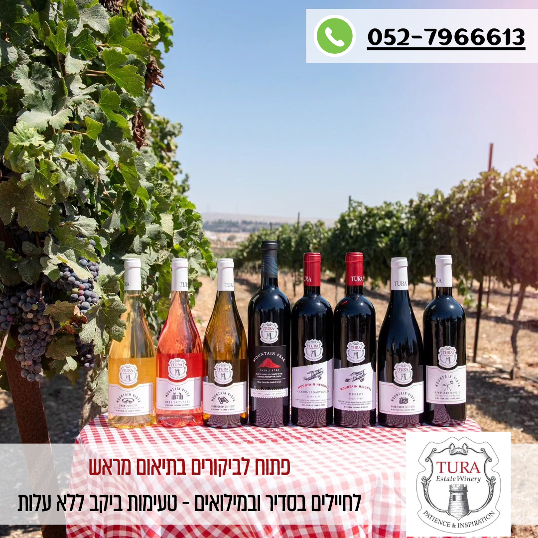 יקב טורא - רחלים