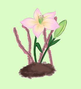 Floret (2).jpg