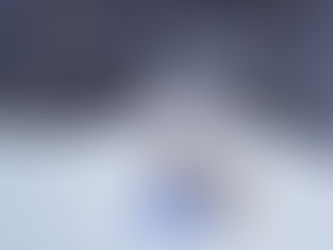 ホッキョクグマ