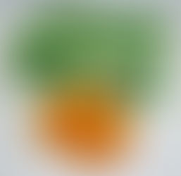 期間限定!!<br/>『紀州有田の宗兵衛みかん 5kg』<br/>【銀座三河屋】