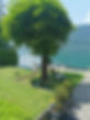 Seeappartement Kitzsteinhorn Strand Baum