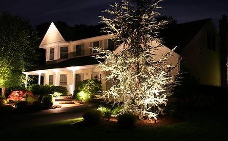 landscape lighting highlighting the front of a house at night